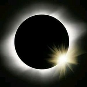 Meet your Posher, Pam